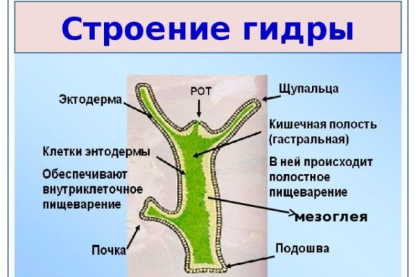 Kraken дарк магазин